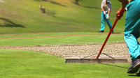 Turf maintenance
